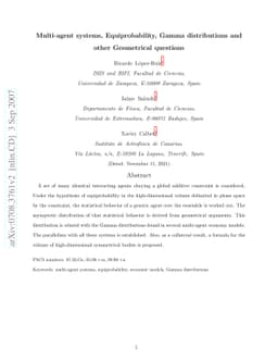 Multi-agent systems, Equiprobability, Gamma distributions and other
  Geometrical questions