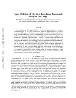 Fuzzy Modeling of Electrical Impedance Tomography Image of the Lungs