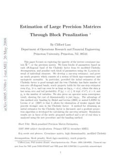 Estimation of Large Precision Matrices Through Block Penalization