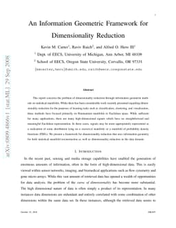An Information Geometric Framework for Dimensionality Reduction