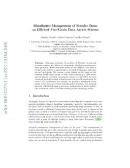 Distributed Management of Massive Data: an Efficient Fine-Grain Data
  Access Scheme