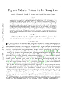 Pigment Melanin: Pattern for Iris Recognition
