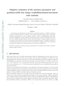 Adaptive estimator of the memory parameter and goodness-of-fit test
  using a multidimensional increment ratio statistic