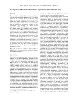A Comparison of Two Human Brain Tumor Segmentation Methods for MRI Data