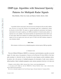 OMP-type Algorithm with Structured Sparsity Patterns for Multipath Radar
  Signals