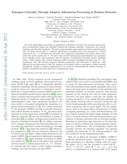 Emergent Criticality Through Adaptive Information Processing in Boolean
  Networks
