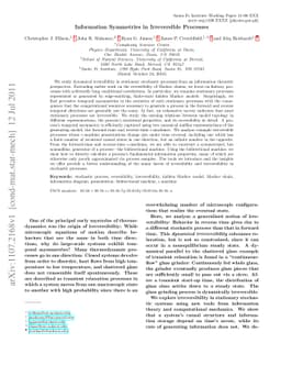 Information Symmetries in Irreversible Processes