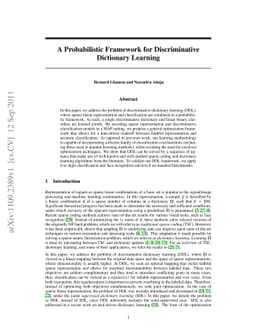 A Probabilistic Framework for Discriminative Dictionary Learning