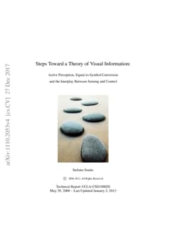 Steps Towards a Theory of Visual Information: Active Perception,
  Signal-to-Symbol Conversion and the Interplay Between Sensing and Control