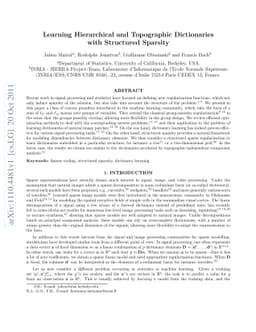 Learning Hierarchical and Topographic Dictionaries with Structured
  Sparsity