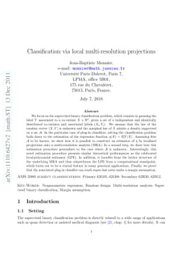 Classification via local multi-resolution projections