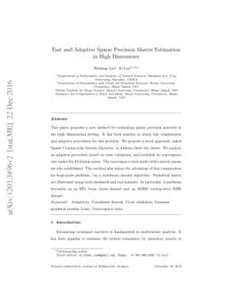 Fast and Adaptive Sparse Precision Matrix Estimation in High Dimensions