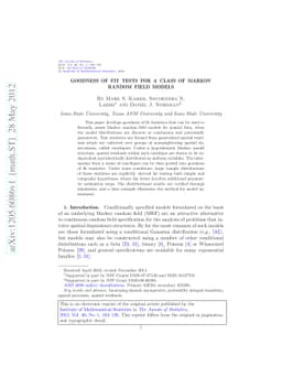 Goodness of fit tests for a class of Markov random field models
