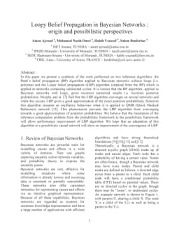Loopy Belief Propagation in Bayesian Networks : origin and possibilistic
  perspectives