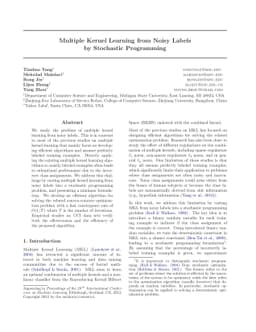 Multiple Kernel Learning from Noisy Labels by Stochastic Programming
