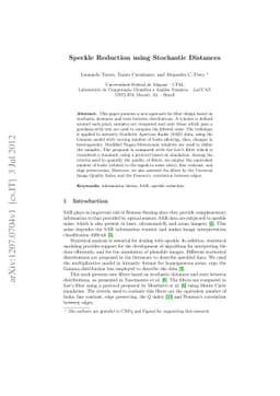 Speckle Reduction using Stochastic Distances