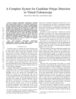 A Complete System for Candidate Polyps Detection in Virtual Colonoscopy
