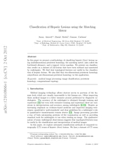 Classification of Hepatic Lesions using the Matching Metric
