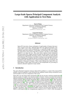 Large-Scale Sparse Principal Component Analysis with Application to Text
  Data