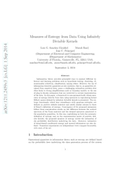 Measures of Entropy from Data Using Infinitely Divisible Kernels