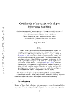 Consistency of the Adaptive Multiple Importance Sampling