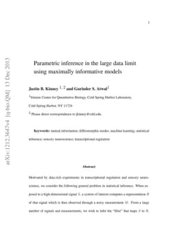 Parametric inference in the large data limit using maximally informative
  models