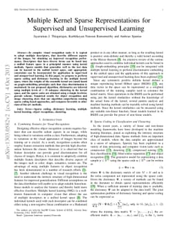 Multiple Kernel Sparse Representations for Supervised and Unsupervised
  Learning