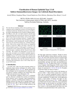 Classification of Human Epithelial Type 2 Cell Indirect
  Immunofluoresence Images via Codebook Based Descriptors