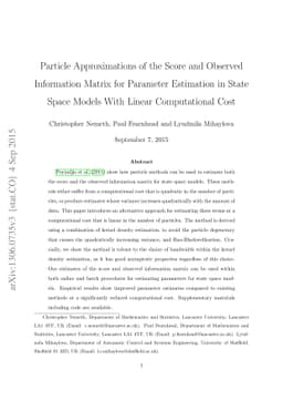 Particle approximations of the score and observed information matrix for
  parameter estimation in state space models with linear computational cost