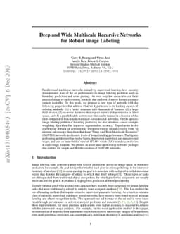 Deep and Wide Multiscale Recursive Networks for Robust Image Labeling