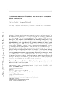 Combining persistent homology and invariance groups for shape comparison