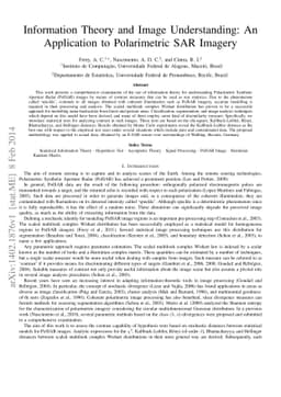 Information Theory and Image Understanding: An Application to
  Polarimetric SAR Imagery
