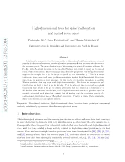 High-dimensional tests for spherical location and spiked covariance