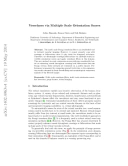 Vesselness via Multiple Scale Orientation Scores