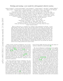 Flocking and turning: a new model for self-organized collective motion