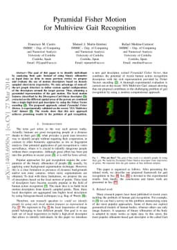 Pyramidal Fisher Motion for Multiview Gait Recognition