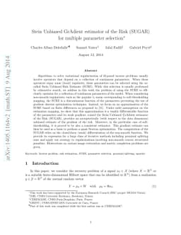 Stein Unbiased GrAdient estimator of the Risk (SUGAR) for multiple
  parameter selection