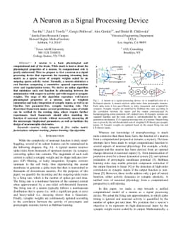 A Neuron as a Signal Processing Device
