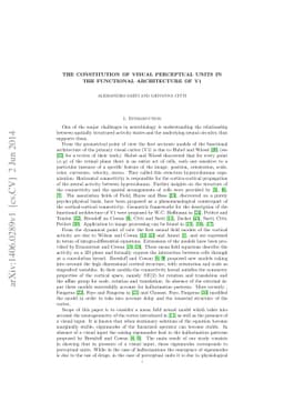 The constitution of visual perceptual units in the functional
  architecture of V1