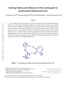 Scaling limits and influence of the seed graph in preferential
  attachment trees