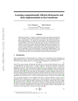 Learning computationally efficient dictionaries and their implementation
  as fast transforms
