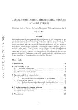Cortical spatio-temporal dimensionality reduction for visual grouping