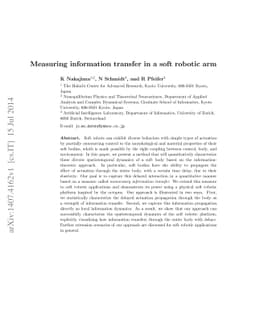 Measuring information transfer in a soft robotic arm