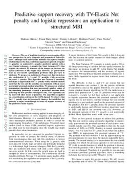 Predictive support recovery with TV-Elastic Net penalty and logistic
  regression: an application to structural MRI