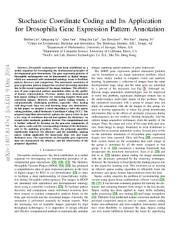 Stochastic Coordinate Coding and Its Application for Drosophila Gene
  Expression Pattern Annotation