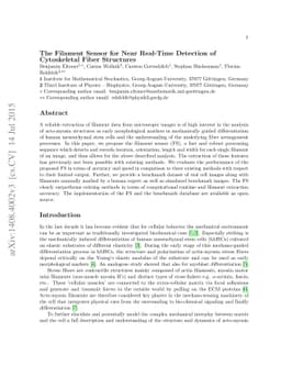 The Filament Sensor for Near Real-Time Detection of Cytoskeletal Fiber
  Structures