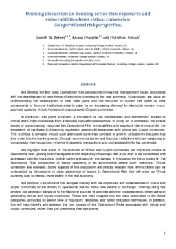 Opening discussion on banking sector risk exposures and vulnerabilities
  from virtual currencies: An operational risk perspective