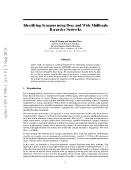 Identifying Synapses Using Deep and Wide Multiscale Recursive Networks