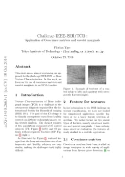 Challenge IEEE-ISBI/TCB : Application of Covariance matrices and wavelet
  marginals
