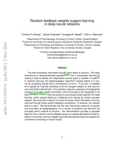 Random feedback weights support learning in deep neural networks
